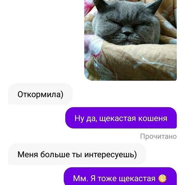 Девушкам не чужда самоирония Девушкам не чужда самоирония отношения, сайт знакомств, смешно, странные люди, юмор