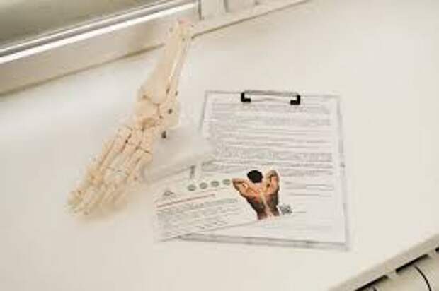 Возвращение к движению: философия здоровья ваших суставов