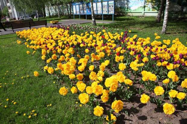 Собянин накануне Дня города осмотрел новые объекты на ВДНХ. Фото: Роман Балаев