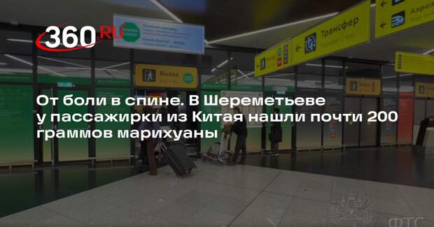 В Шереметьеве у пассажирки из Китая нашли почти 200 граммов марихуаны
