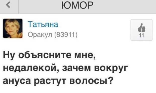 www.vsyako.net