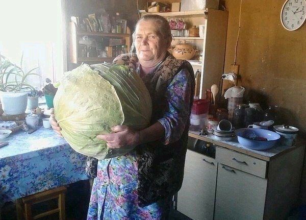 30 снимков, на которые невозможно смотреть равнодушно