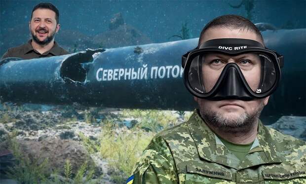 Зеленский отрекся от подрыва «Северных потоков», возложив всю вину на Залужного через немецкий Spiegel