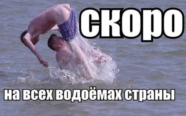Смешные картинки с надписями прикол, юмор