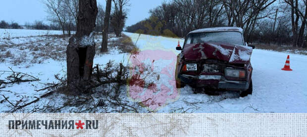 Легковушка врезалась в дерево в Крыму