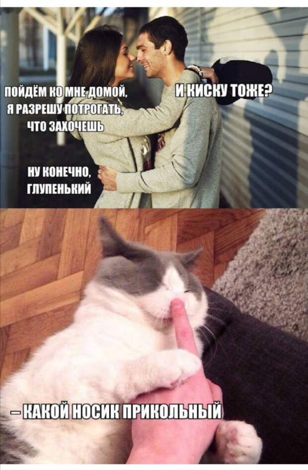 Приколы и мемы про девушек и отношения