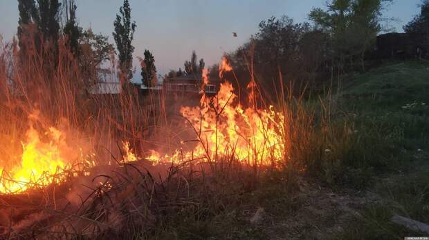 В Воронежской области установили чрезвычайный класс пожарной опасности