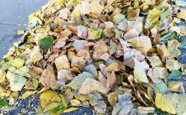 Листья убрали с детской площадки в парке «Березовая роща»