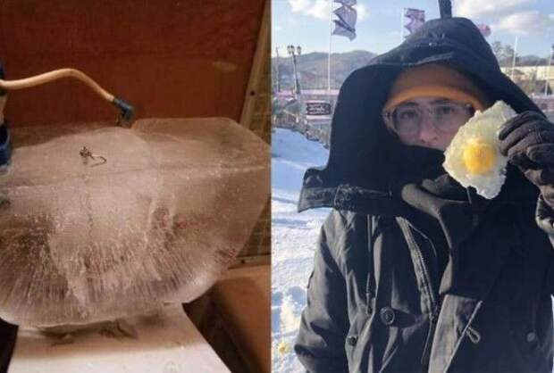 Жесть!