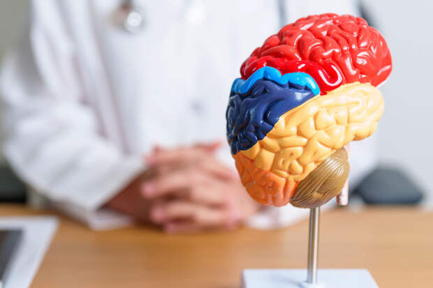 PLOS: пневмония и цистит могут ускорять ухудшение памяти