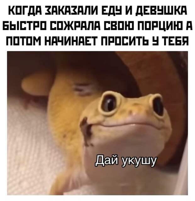 Смешные картинки 16 июля 2021