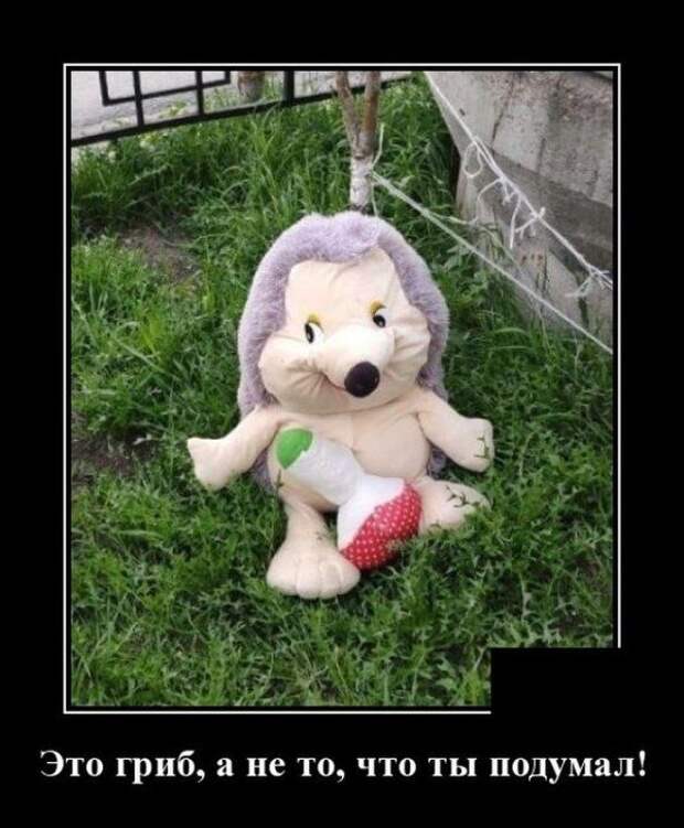 demotivatory-demotivator-smeshnye-demotivatory-demotivator-so-smyslom