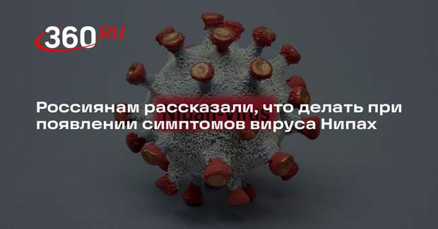 Врач Компанец посоветовала туристам с симптомами вируса Нипах звонить медикам