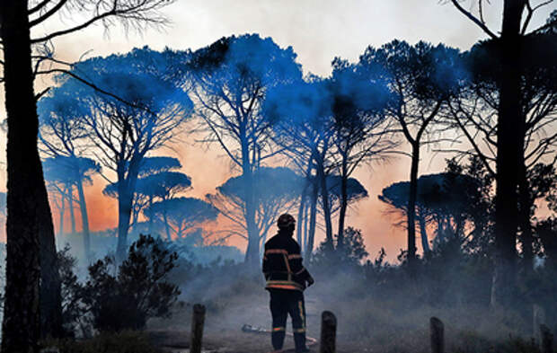 На юге Франции бушуют лесные пожары