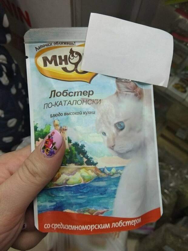 Чем еще кормить кота, как не блюдом высокой кухни? Чем еще кормить кота, как не блюдом высокой кухни? корм, кошачий корм, подборка, прикол, собачий корм, юмор