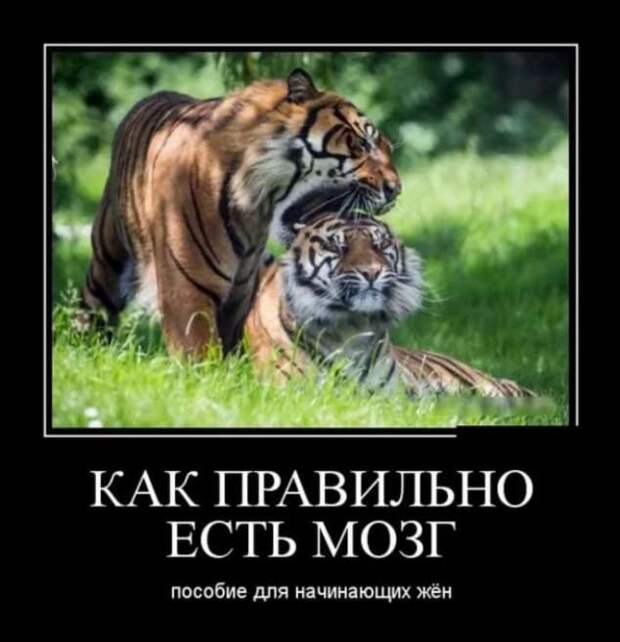 Прикольные демотиваторы с надписями. Подборка chert-poberi-dem-chert-poberi-dem-49510724102020-17 картинка chert-poberi-dem-49510724102020-17