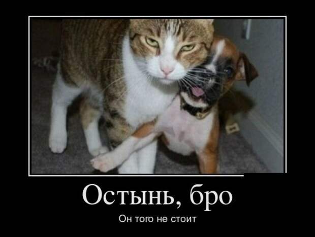 Демотиваторы (30 фото)