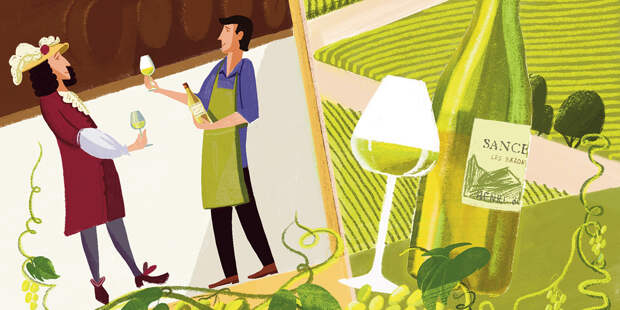 Винодельческая династия Мелло: как оставаться на плаву 500 лет