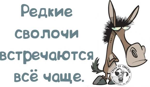 5672049_1391023508_frazochki2 (604x352, 37Kb)