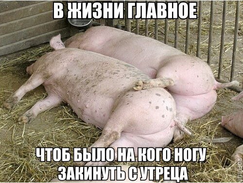 RpYkWDZ2hGI