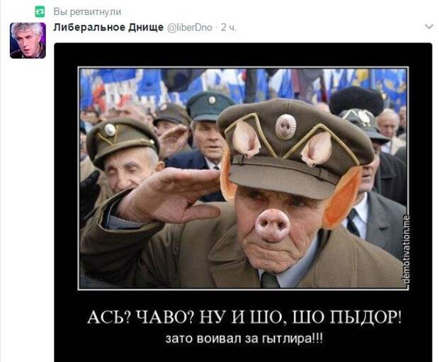 Невеселые картинки из Украины Невеселые картинки из Украины
