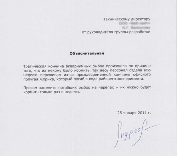 15 объяснительных, которые трудно прочесть без улыбки