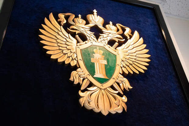 Жители дома в Тепло-Огаревском районе пожаловались на крыс в подвале