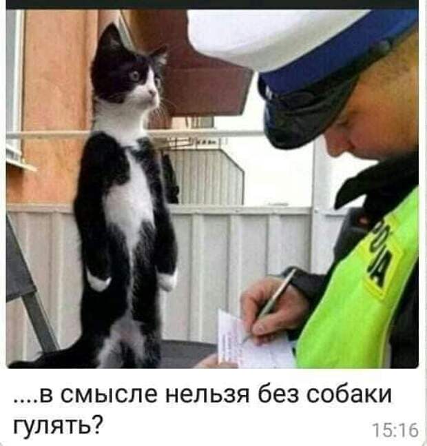 После лечения: - Доктор, а как вы узнали, что у меня повышенное давление?...