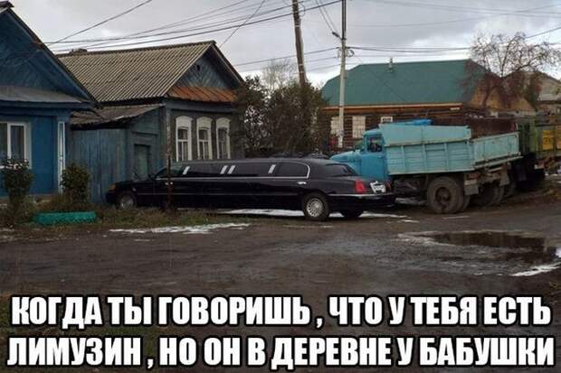 Прикольные картинки Прикольные картинки