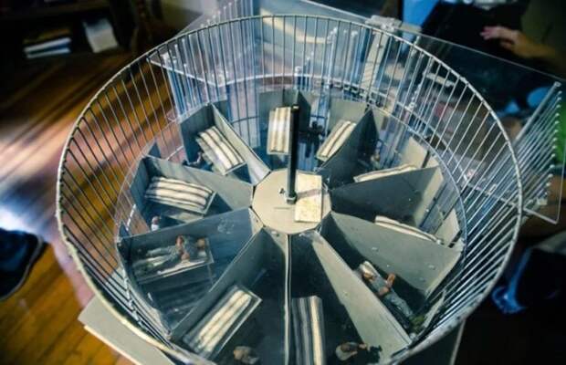 Макет вращающейся тюрьмы. /Фото: rostov.icity.life Макет вращающейся тюрьмы. /Фото: rostov.icity.life