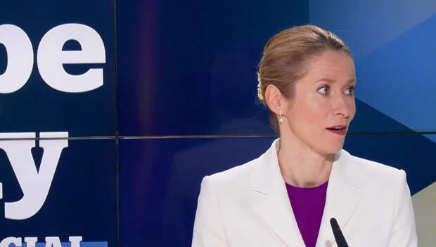 Володин назвал заявления Каллас проявлением невежества и необразованности