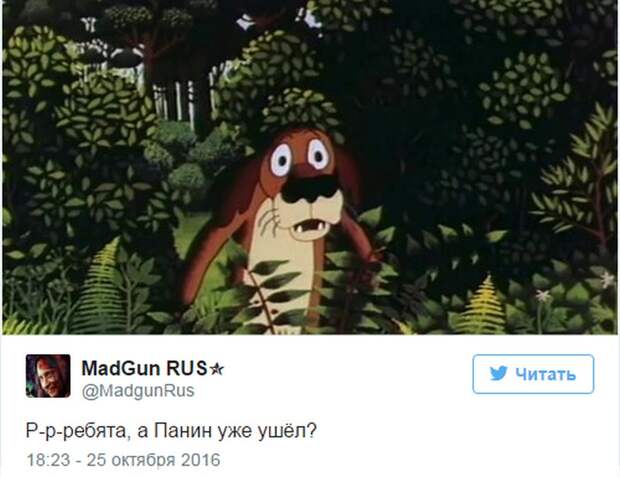 Панин