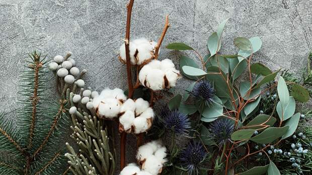 Какие цветы выбрать в феврале: зимние идеи для букетов