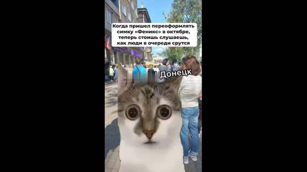 Video: Клип @donetskdnr_vk