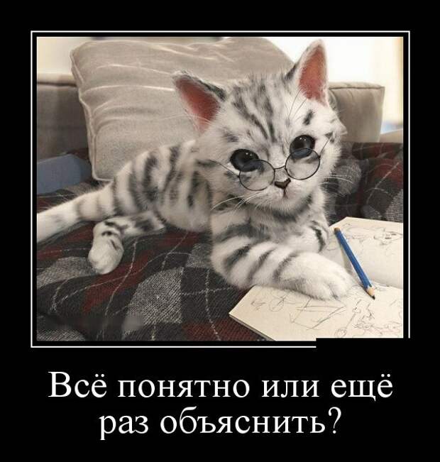 Демотиваторы (30 фото)
