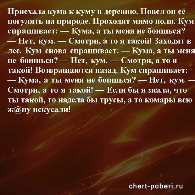 Самые смешные анекдоты ежедневная подборка chert-poberi-anekdoty-chert-poberi-anekdoty-26260203102020-6 картинка chert-poberi-anekdoty-26260203102020-6