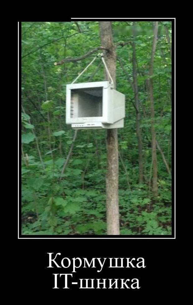 Демотиваторы