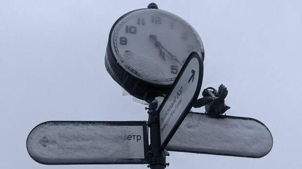 Снегопад в Барнауле 6 октября / Фото: amic.ru / Екатерина Смолихина