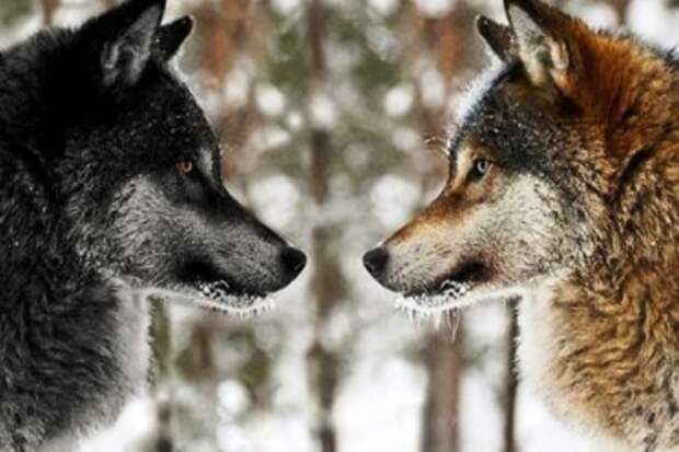 safe_image (23)