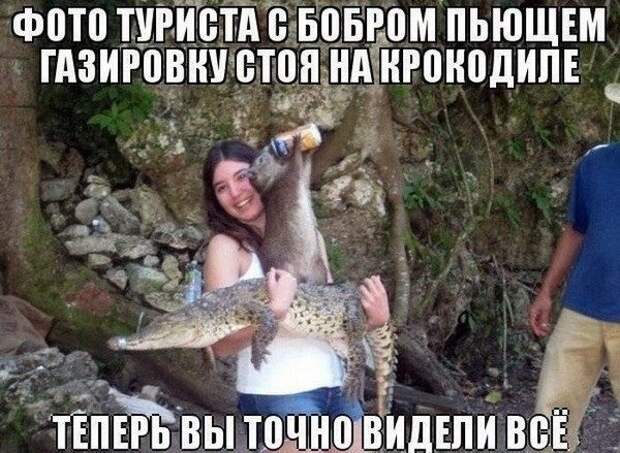 Подборка прикольных фото на тему "Теперь я видел всё" Подборка прикольных фото на тему "Теперь я видел всё"