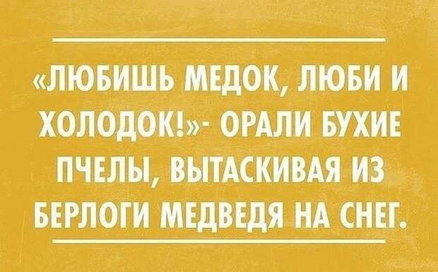 Новая партия уморительных коментариев из соцсетей Новая партия уморительных коментариев из соцсетей