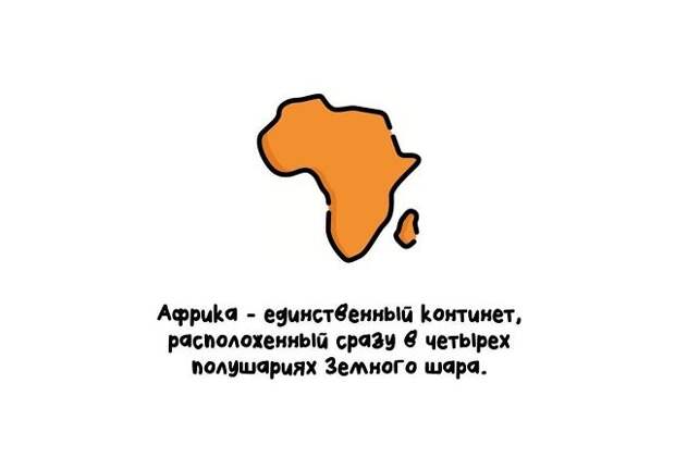 Интересные короткие факты на все случаи жизни