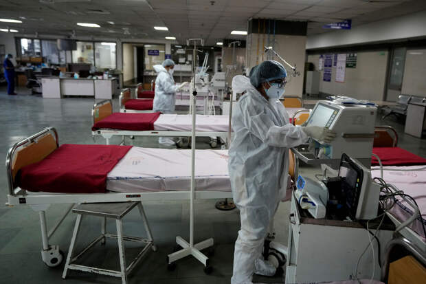 Nikkei: в Бельгии начнутся первые испытания японской вакцины против вируса Нипах