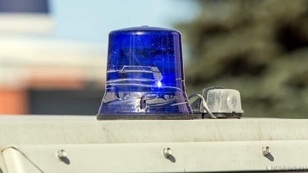 Судебные приставы депортировали из России более 60 тысяч мигрантов