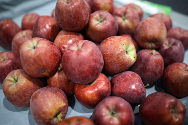 Странная субстанция внутри яблока поставила в тупик пользователей сети