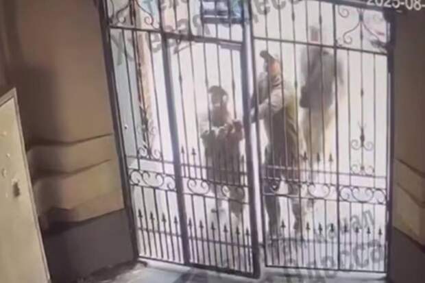 Одесские военкомы не смогли войти в открытую дверь и упустили уклониста