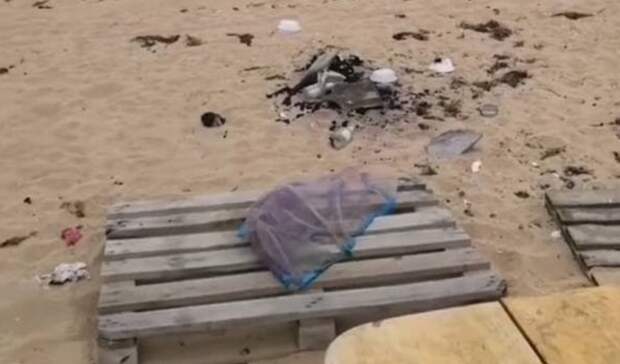 Необычная «свиная» лаунж зона на Приморском пляже возбудила отдыхающих