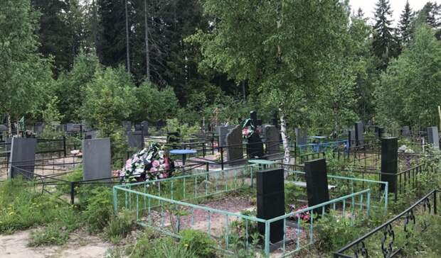Неизвестные массово крадут ограды с нижегородского кладбища