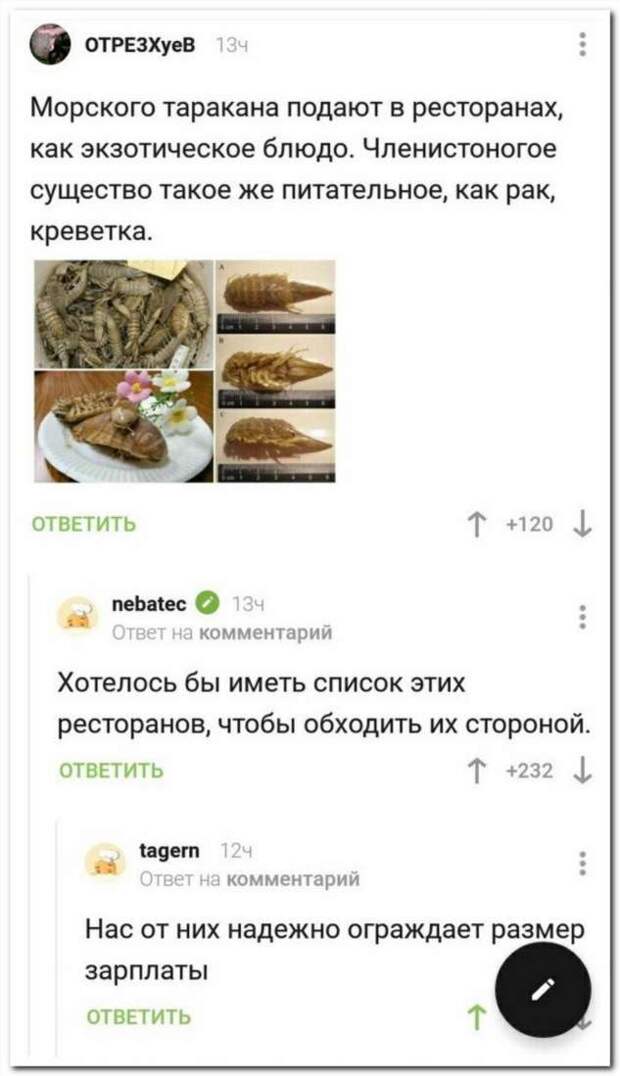 Смешные комментарии. Подборка chert-poberi-chert-poberi-04430603032020-20 картинка chert-poberi-04430603032020-20