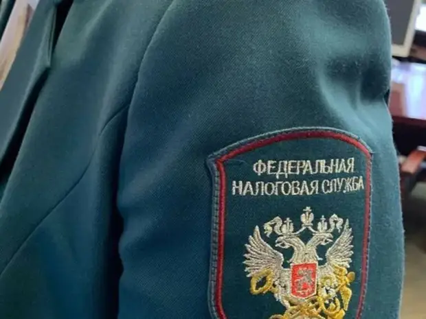 Эксперт назвал причины для внезапных визитов налоговиков домой к россиянам